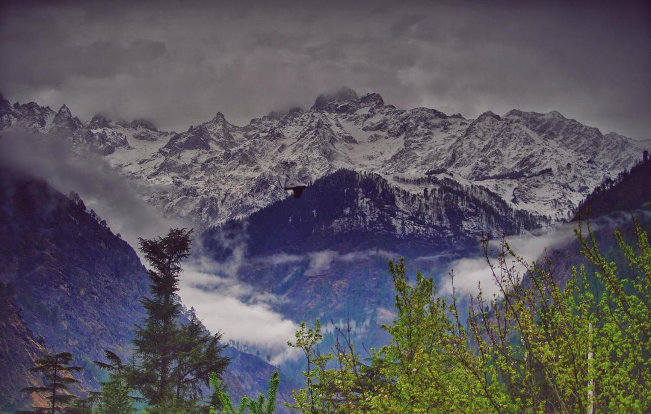 Memoir Homestay Kasol Bagian luar foto