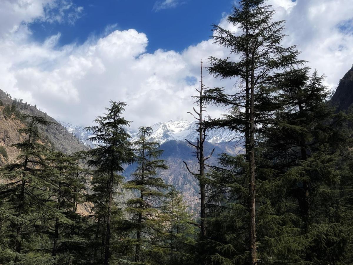 Memoir Homestay Kasol Bagian luar foto